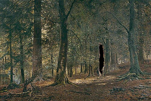 Woodland Scene, , John Nesbitt