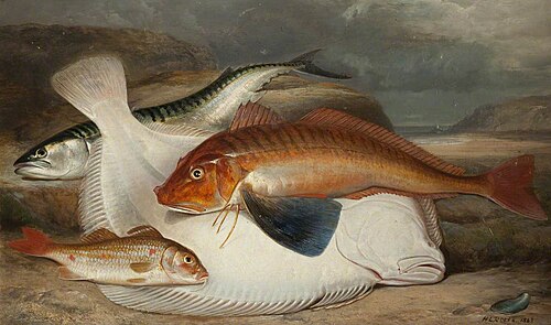 The Catch, , Henry Leonidas Rolfe