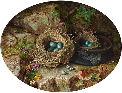Birds Eggs and Nests, 1867, Charles Russell