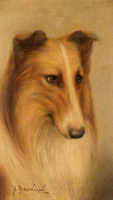 Collie, , George Washington Brownlow
