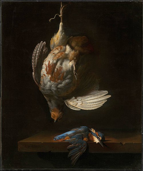Still Life with Dead Partridge and Kingfisher, 1690, Simon Verelst
