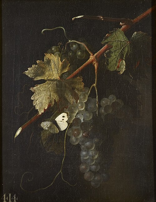 A Bunch of Grapes, , Simon Verelst