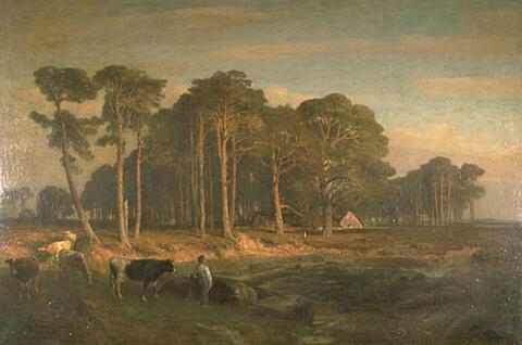 Sunset effect on fir trees, , Joseph Van Luppen