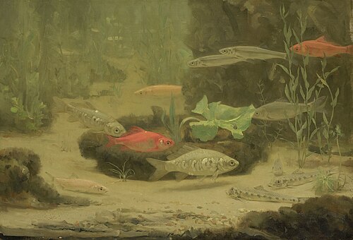 Poissons dans un aquarium, 1906, Gerrit Willem Dijsselhof