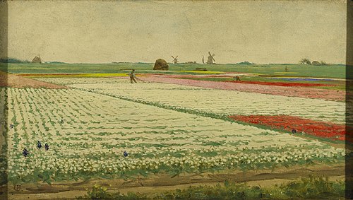 Tulip Fields, 1906, Gerrit Willem Dijsselhof