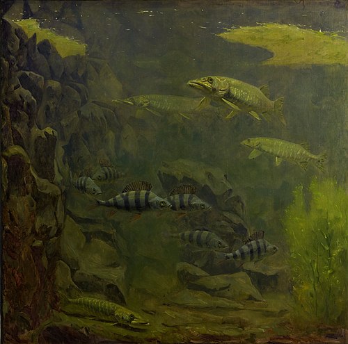 Pike and Perch in an Aquaruim, 1915, Gerrit Willem Dijsselhof