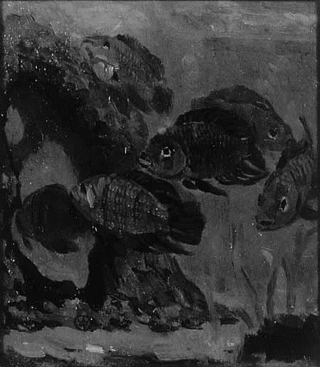 Vissen in een aquarium, 1900, Gerrit Willem Dijsselhof
