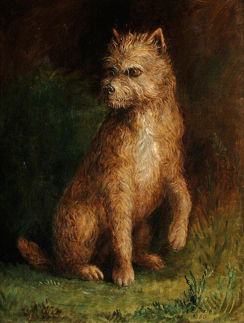 'Dash', 1860, Albert Dürer Lucas