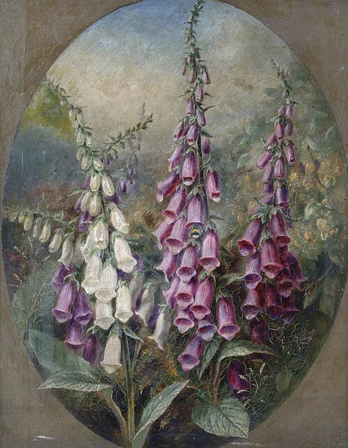 Foxgloves, 1872, Albert Dürer Lucas