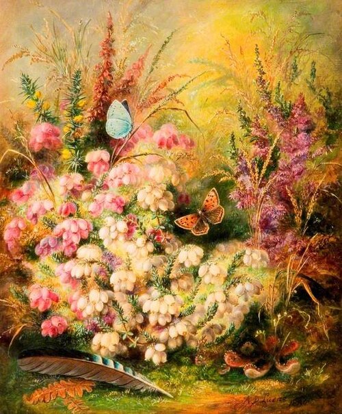 Heath, Heather, Furze and Sundew, 1880, Albert Dürer Lucas