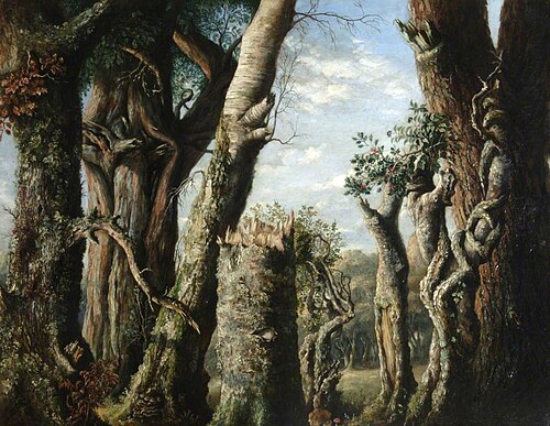 Oak, Holly and Other Trees, , Albert Dürer Lucas