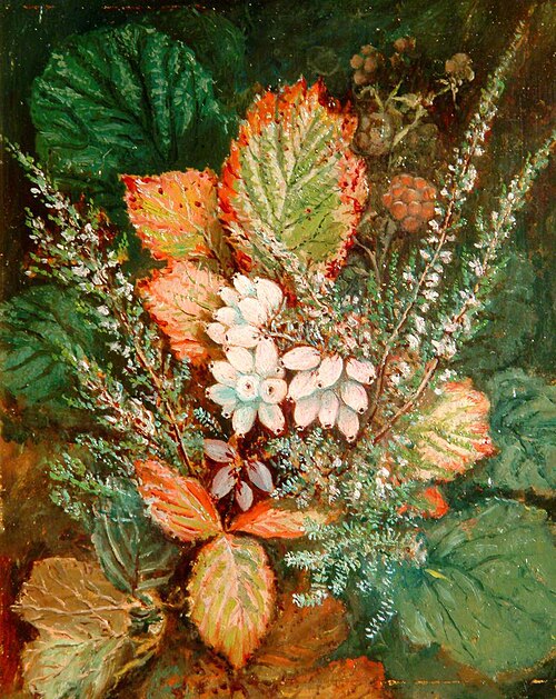 Heather and Gorse, , Albert Dürer Lucas