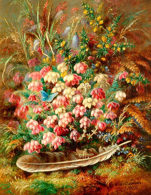 Heather, , Albert Dürer Lucas