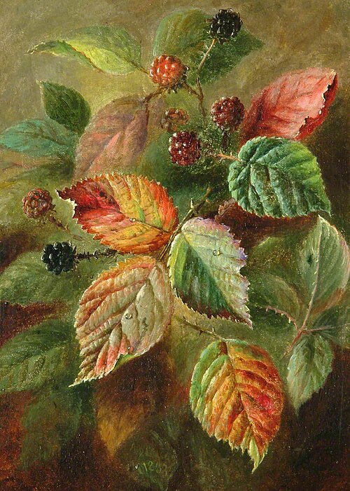 Blackberries, , Albert Dürer Lucas
