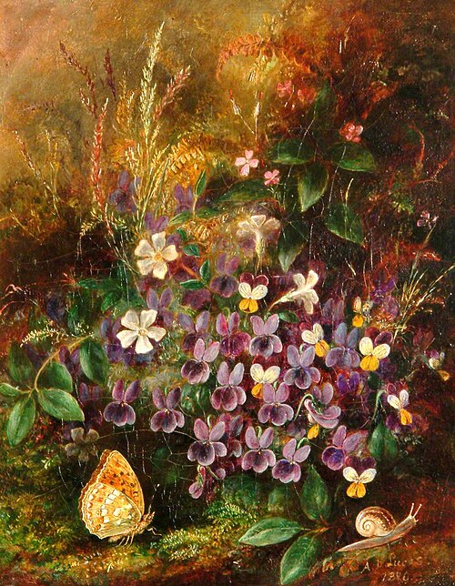 Violets, , Albert Dürer Lucas