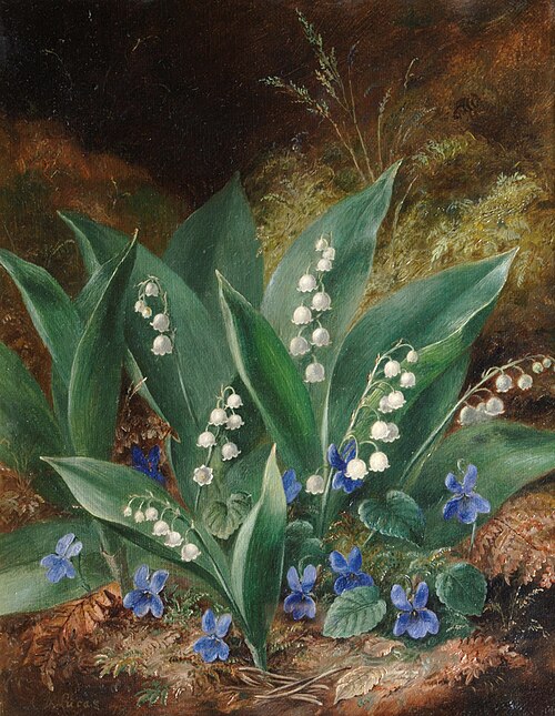 Lilies of the Valley, , Albert Dürer Lucas