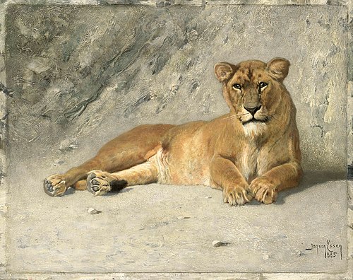 Lioness Resting, 1885, Johannes Cornelis van Essen