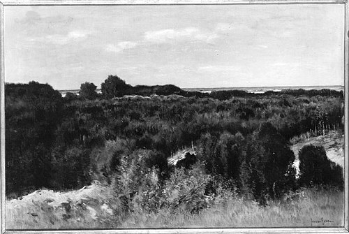 Panorama in Holland, 1898, Johannes Cornelis van Essen