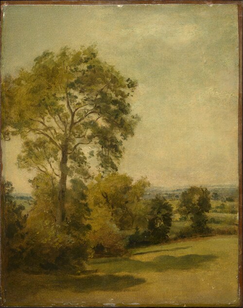 Tree in a Landsdcape, 1850, Lionel Constable