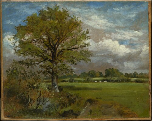 Tree in a Meadow, 1850, Lionel Constable