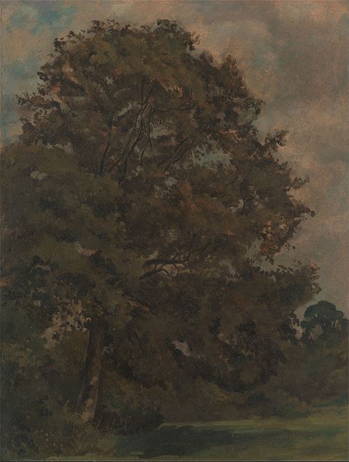 Study of an Ash Tree, 1851, Lionel Constable