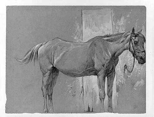 Horse, Fort Stanton, New Mexico, 1877, Peter Moran