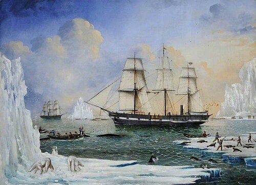 'Diana' and 'Chase' in the Arctic, 1857, James H. Wheldon
