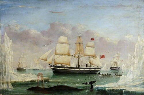 Whaler 'Diana', , James H. Wheldon
