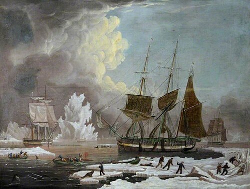 Hull Whaler 'Harmony' (after William John Huggins), , James H. Wheldon