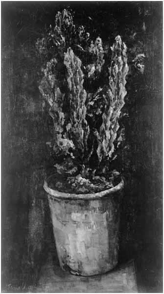 Cactus in pot, 1918, Floris Verster