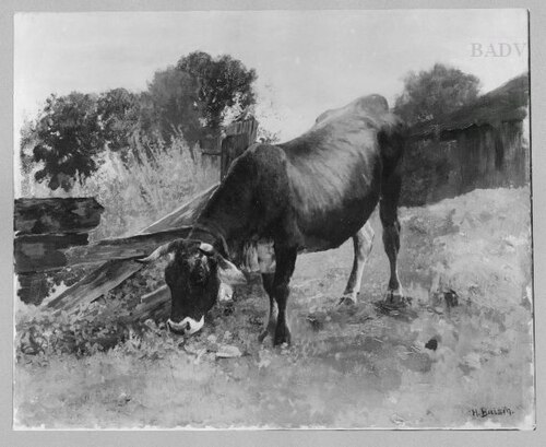cow on pasture, 1871, Hermann Baisch