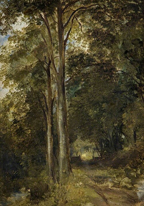 Landscape with Trees, , William Nicholl