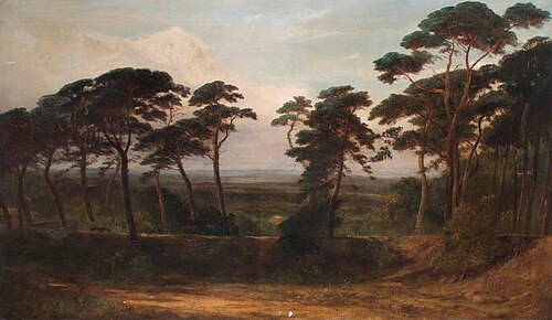 The Firs, Hampstead Heath, 1885, William James Callcott