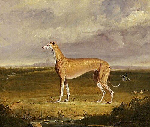 The Greyhound, 1830, Thomas Walker Bretland