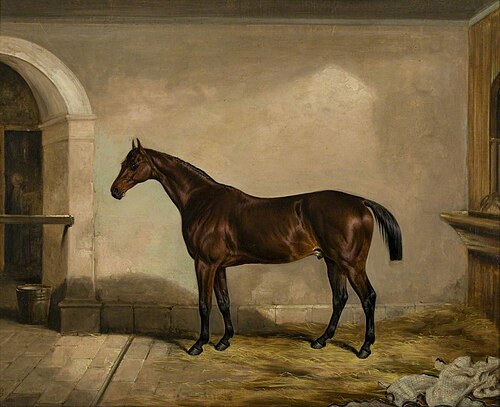 Teddy the Tiler, 1842, Thomas W. Bretland