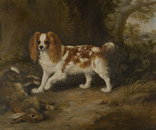 A Spaniel with a Dead Hare, , Thomas Walker Bretland