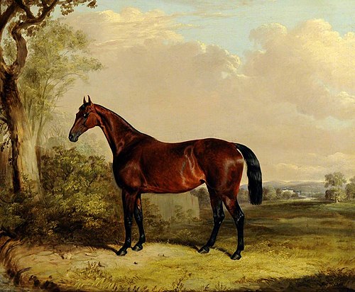 A Bay Hunter in a Landscape, 1842, Thomas W. Bretland