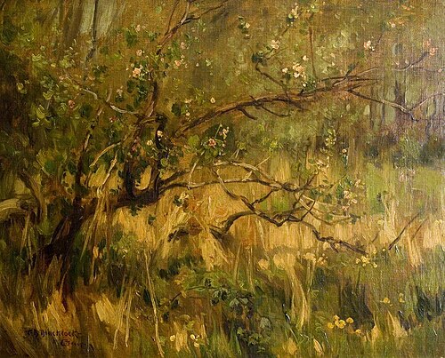 Untitled, , Thomas Bromley Blacklock