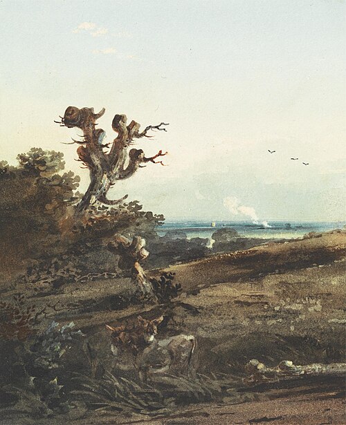 Two Donkeys in a Landscape, , John Varley