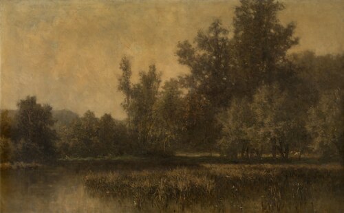 Swamp, , Euphrosine Beernaert