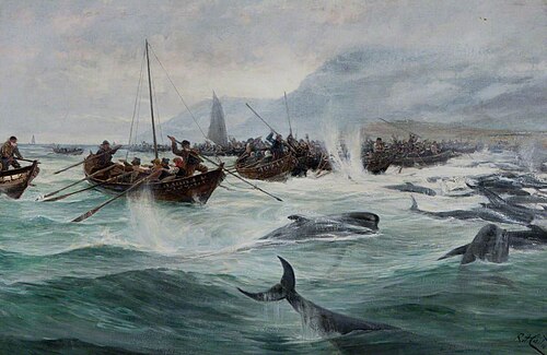 Driving Bottle-Nosed Whales – Shetland, 1891, 1891, Richard Harry Carter
