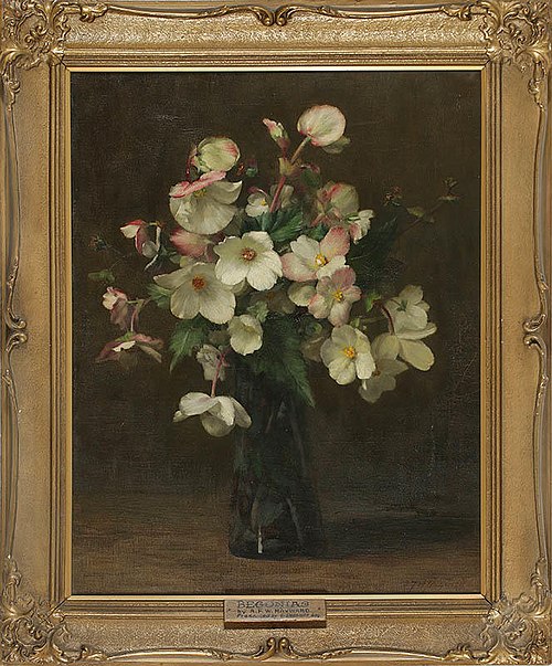 Begonias, , Alfred Frederick William Hayward