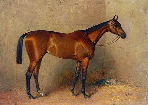 Butterfly, 1880, Arthur Louis Townshend