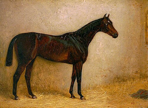 Hauteur, 1880, Arthur Louis Townshend