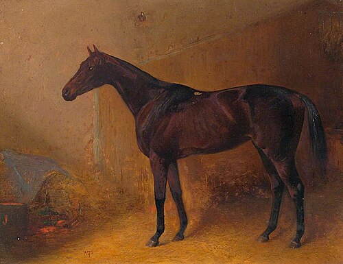Mamia, , Arthur Louis Townshend