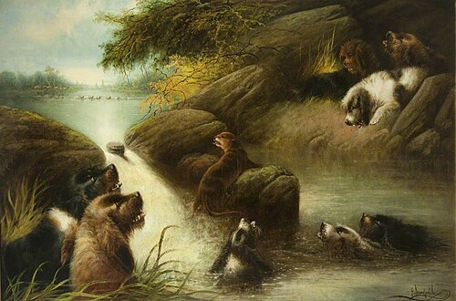 The Otter at Bay, , Edward Armfield