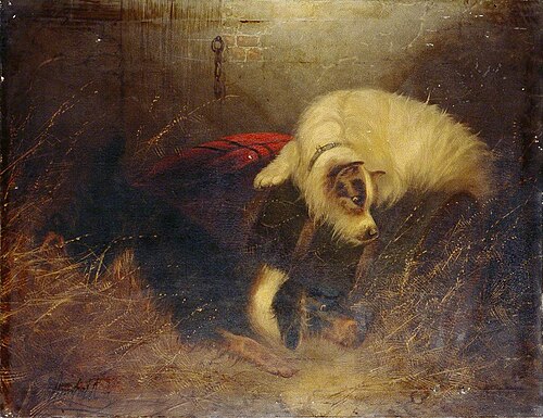 On the Watch, , Edward Armfield
