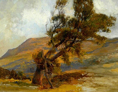 Old Tree near Runswick, North Yorkshire, , Gilbert Foster