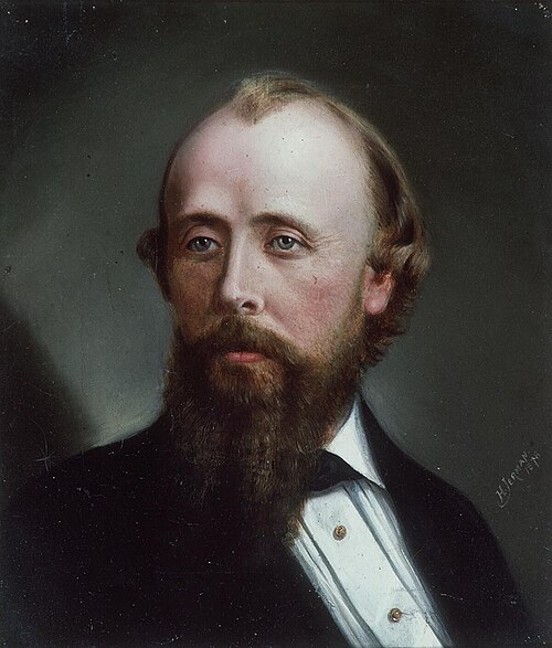 Portrait of a bearded man, 1878, Hugh Jerman