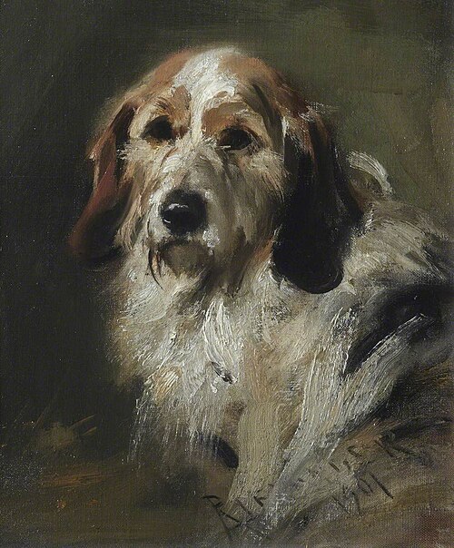A Basset Hound, 1901, Robert L. Alexander
